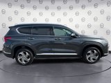 Used 2022 Hyundai Santa Fe SEL w/ Convenience + Premium Package image 6