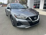 Used 2023 Nissan Maxima SV w/ Floor Mat Group image 2