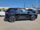 Used 2022 Ford Escape SE w/ SE Sport Appearance Package image 3