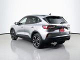 Used 2021 Ford Escape SE w/ SE Sport Appearance Package image 3