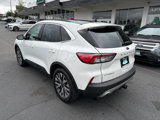 Used 2020 Ford Escape Titanium image 3