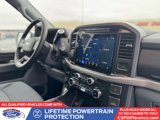 New 2025 Ford F150 XLT w/ Equipment Group 302A MID image 3