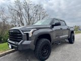 New 2025 Toyota Tundra SR5 image 2