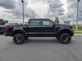 New 2025 Ford F150 XLT w/ Equipment Group 303A High image 4