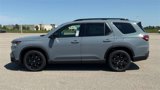 New 2025 Honda Pilot Black Edition image 5