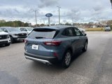 New 2025 Ford Escape Active w/ Cold Weather Package image 5