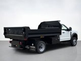 New 2025 Ford F550 4x4 Regular Cab Super Duty w/ XL Chrome Package image 3