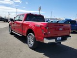 New 2025 Ford F150 XLT w/ Equipment Group 303A High image 3