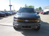 New 2025 Ford F150 Tremor w/ Equipment Group 402A High image 2