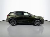New 2025 Lexus NX 300h AWD w/ Luxury Package image 4