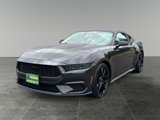 Used 2024 Ford Mustang Coupe w/ Mustang Nite Pony Package image 3