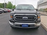 Certified 2022 Ford F150 XLT w/ Equipment Group 302A High image 3