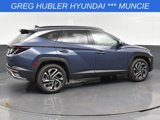 New 2025 Hyundai Tucson Limited image 5