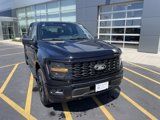 New 2025 Ford F150 STX w/ STX Black Appearance Package image 4
