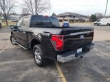 New 2025 Ford F150 XLT w/ Equipment Group 302A MID image 6