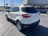 Used 2020 Ford EcoSport SE image 3