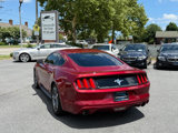 Used 2016 Ford Mustang Coupe w/ Equipment Group 051A image 2