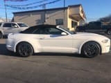Used 2020 Ford Mustang Premium image 6