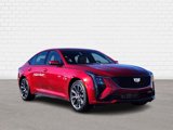 New 2025 Cadillac CT5 Sport w/ Platinum Package image 6