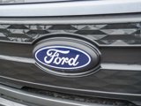 New 2025 Ford F150 Lightning Platinum image 4