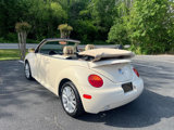 Used 2005 Volkswagen Beetle GLS image 3