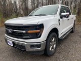 New 2025 Ford F150 XLT w/ Equipment Group 302A MID image 4