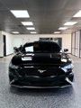 Used 2019 Ford Mustang GT Premium w/ Equipment Group 401A image 5
