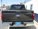New 2024 Ford F150 XLT w/ Equipment Group 302A MID image 6