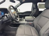 New 2025 Ford F150 XLT w/ Equipment Group 302A MID image 6
