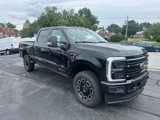 New 2025 Ford F250 Platinum image 3