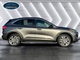 Used 2020 Ford Escape SEL image 4