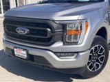 Used 2021 Ford F150 XLT w/ Equipment Group 302A High image 2