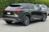 New 2025 Lexus RX 350 image 5
