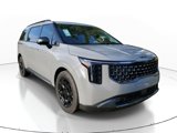 New 2025 Kia Carnival SX Prestige image 4