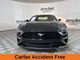 Used 2019 Ford Mustang GT Premium w/ Equipment Group 401A image 3