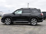 New 2025 Honda Pilot Elite image 4