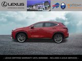 Certified 2025 Lexus NX 350 AWD w/ Premium Package image 2