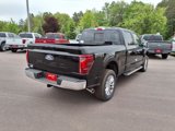 New 2025 Ford F150 Lariat image 3