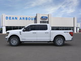 New 2025 Ford F150 XLT w/ Equipment Group 302A MID image 3