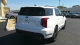 New 2025 Hyundai Palisade Calligraphy image 4