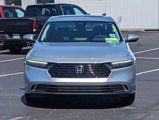 Certified 2024 Honda Accord EX image 3