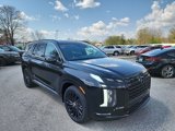 New 2025 Hyundai Palisade Calligraphy image 5