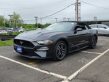 Used 2023 Ford Mustang Premium image 3
