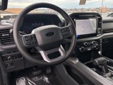 New 2025 Ford F150 XLT w/ Equipment Group 302A MID image 5