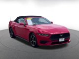Used 2024 Ford Mustang Premium image 3