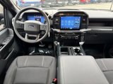 Used 2024 Ford F150 STX image 5