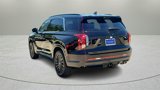 New 2025 Hyundai Palisade Calligraphy image 5