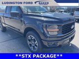 New 2025 Ford F150 STX image 4