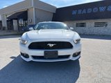 Used 2016 Ford Mustang Premium w/ Enhanced Security Package image 5