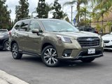 Certified 2024 Subaru Forester Limited image 2